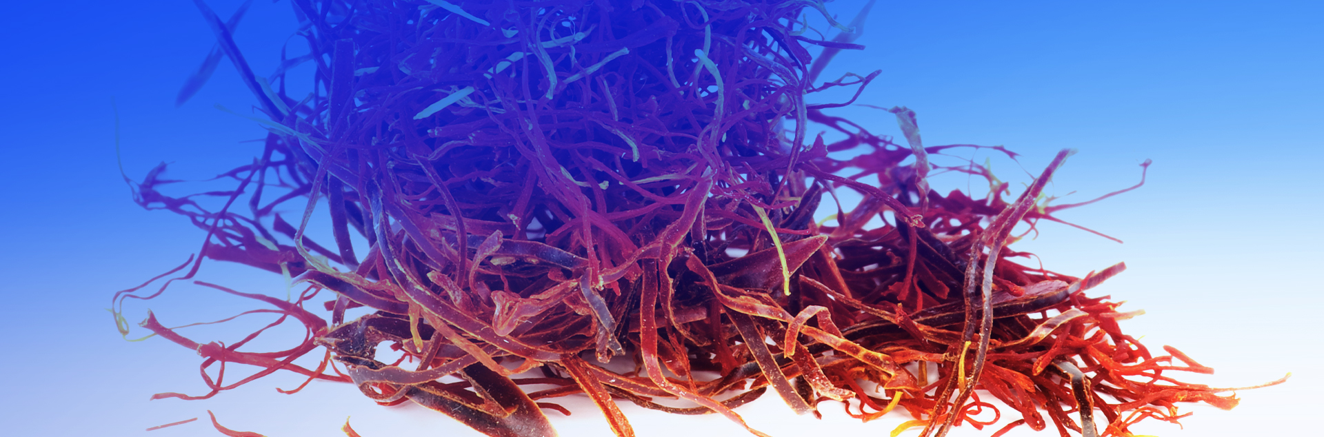 Saffron Extract