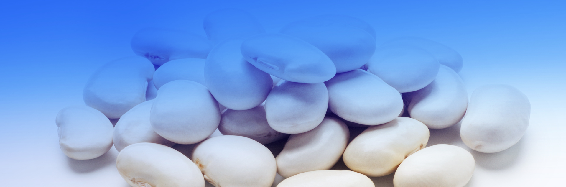 White Kidney Bean Extract