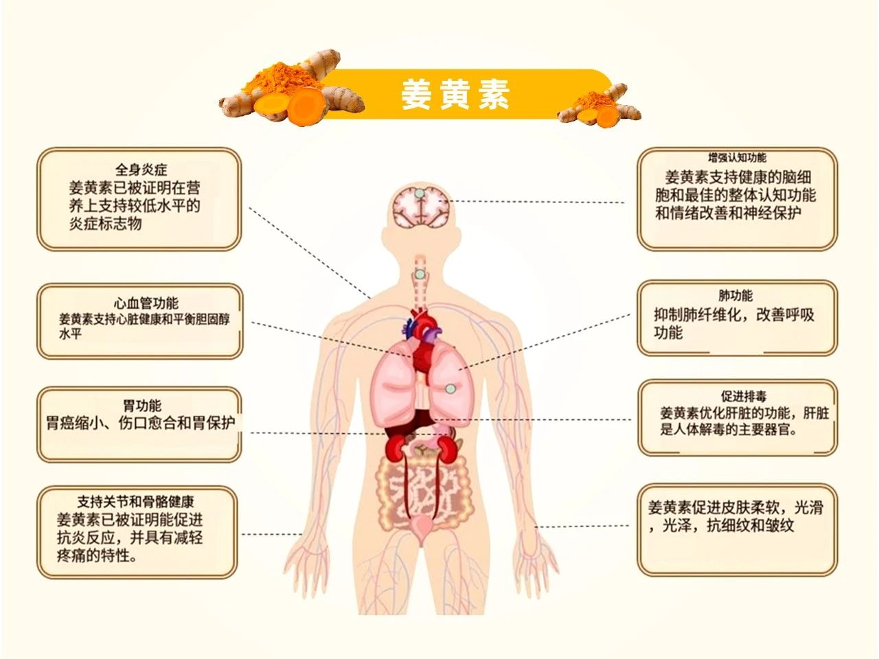 多达53项专利，天花板级“药食同源”成分！(图1)